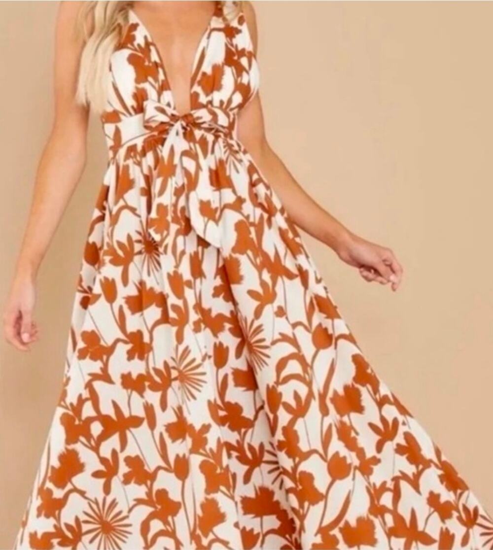 NWT Aakaa Dream Weaver Plunging Neck Floral Maxi Dress